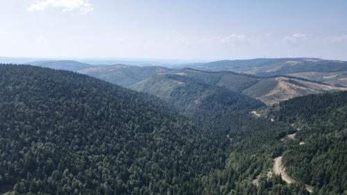 DJI_3680.JPG